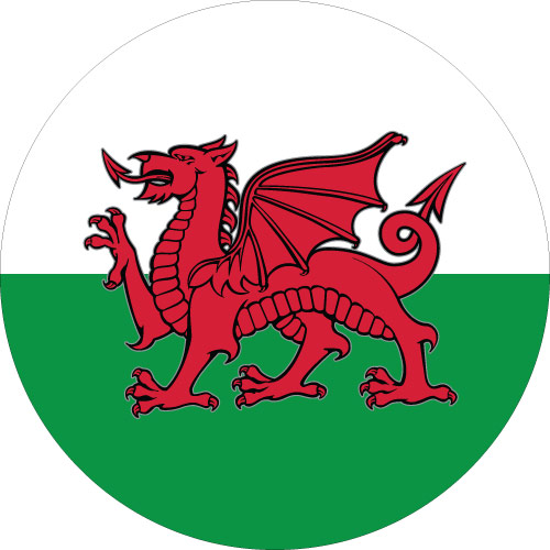 Welsh Dragon Spare Wheel Cover