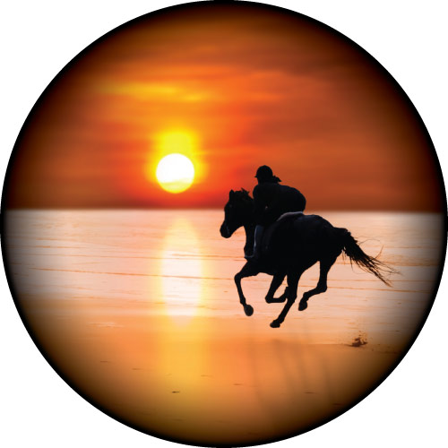 Horse riding on a Sunset Beach Custom Tyre Cover Design