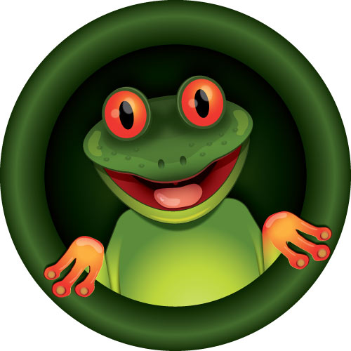 Funny suprised looking frog on your spare tyre cover