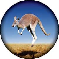 Kangaroo Spare Wheel Cover Design