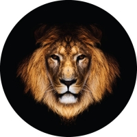 Lions Stare Custom Spare Wheel Cover Design