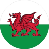 Welsh Dragon Spare Wheel Cover