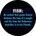 Meaning of Fish Spare Wheel Cover