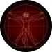 Vitruvian Man - Leonardo da Vinci's famous drawing on your spare wheel cover