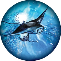 Mantaray painting on your spare tyre covers.