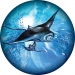 Mantaray painting on your spare tyre covers.