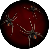 Red Back Spiders Spare Wheel Cover