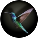 Hummingbird Spare Tyre Cover Design