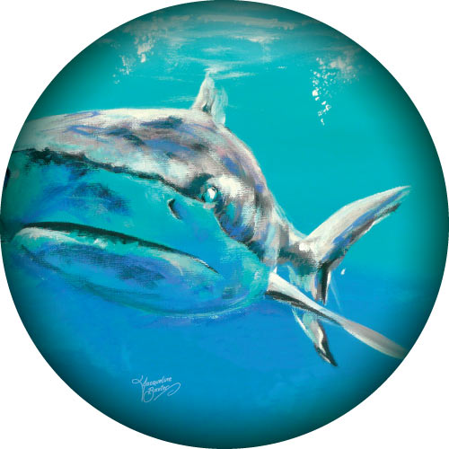 Great white shark swimming out from spare wheel cover