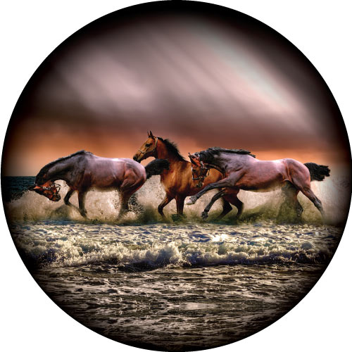 Image of Wild Horses at the beach on sunset. Spare Wheel Cover Design.